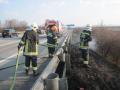 Foto: FF Wiener Neustadt 20120325_waldbrand_wrn_012