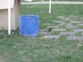 20120502_amseln_hinter_gitter_gefangen_003
