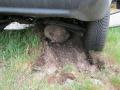 20120507_vu_steinabrueckl_004