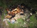 20120610_kleinbrand_ffwrn_01