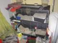Foto: FF Wiener Neustadt 20120624_tierrettung_wr_neustadt_005