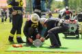 Foto: Norbert Stangl 20120630_lflb_ternitz_0155