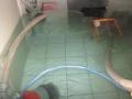 Foto: FF Wr. Neustadt 20120708_keller_unter_wasser_wrn_002