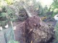 Foto: FF Theresienfeld camerazoom-20120603182940628