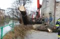 ff_liwoe_28122012_6