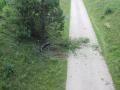 Foto: FF Wiener Neustadt img_0659