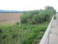 Foto: FF Wiener Neustadt img_0661