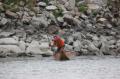 Foto: FF Wopfing img_1622