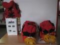 Foto: FF Wiener Neustadt 20130212_eisrettungsausruestung_wrn_001