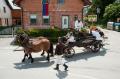 20130611_ff_muth_03 20130611_ff_muth_03