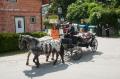 20130611_ff_muth_05 20130611_ff_muth_05