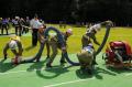 Foto: Norbert Stangl 20130622_bflb-lichtenegg_205