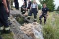 Foto: Wolfgang Schagl 20130706_ga_hoelles_006