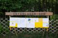 Foto: Norbert Stangl 20130706_jugend_lager_188