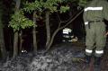 20130725_waldbrand_002