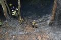 Foto: Einsatzdoku.at 20130725_waldbrand_008