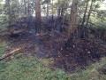 20130805_ffmuth_waldbrand1