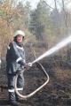 Foto: FF Wiener Neustadt 20130808_waldbrand_weikersdoerf_ff_wrn_102