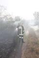 Foto: FF Wiener Neustadt 20130808_waldbrand_weikersdoerf_ff_wrn_139