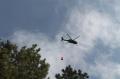 20130808_waldbrand_weikersdoerf_ff_wrn_163
