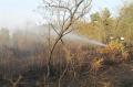 20130808_waldbrand_weikersdoerf_ff_wrn_169