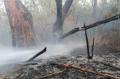 20130808_waldbrand_weikersdoerf_ff_wrn_397