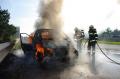 Foto: FF Wr. Neustadt 20131020_be_a2_wrn_004