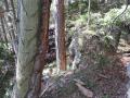 Foto: Lukas Brodtrager 2013_08_11_waldbrand_schfthal_muggendorf_1