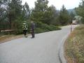 Foto: Martin Schaffrian 2014-11-22_christbaum_orf_noe_02