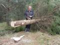 Foto: Martin Schaffrian 2014-11-22_christbaum_orf_noe_03
