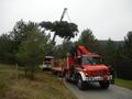 Foto: Martin Schaffrian 2014-11-22_christbaum_orf_noe_06