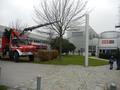 Foto: Martin Schaffrian 2014-11-22_christbaum_orf_noe_13