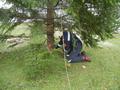 Foto: Martin Schaffrian 2014-11-22_christbaum_orf_noe_15