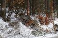 Foto: FF Dreistetten 20140131_vu_dreistetten_003