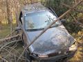 Foto: FF Wiener Neustadt 20140224_unfaelle_wrn_vu_a2_1100uhr_presse
