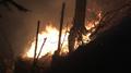 Foto: Einsatzdoku.at 20140316_waldbrand_in_tiefenbach_ed_002