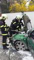 Foto: Presseteam FF Wr. Neustadt 20140320_ffwrn_fahrzeugbrand_presse_2