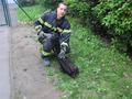 Foto: Presseteam FF Wiener Neustadt 20140422_tierrettung_wrn_004