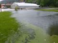 Foto: FF Pernitz 20140516_hochwasser_pernitz_006