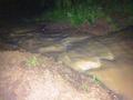 Foto: FF Ebenfurth 20140517_hochwasser_ebenfurth_005
