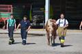 Fotos: UA3 20140607_uebung_ua3_007