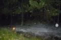20140609_b1_sektor_f_1