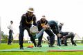 Foto: Norbert Stangl 20140621_bflb_zillingdorf_0026