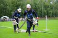 Foto: Norbert Stangl 20140621_bflb_zillingdorf_0141