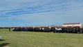 Foto: NOELFV Facebook 20140706_lflb_feuerwehrjugend_001