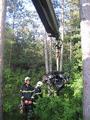 Foto: Presseteam FF Wiener Neustadt 20140706_vu_wrn_foehrenwald_004