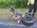Foto: Presseteam FF Wiener Neustadt 20140706_vu_wrn_foehrenwald_008