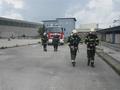 Foto: Presseteam FF Wr. Neustadt 20140714_brand_wrn_002