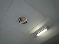 Foto: Presseteam FF Wr. Neustadt 20140727_auspumparbeiten_aqua_nova_3