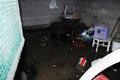Foto: Eventreport.at 20140727_pumpeinsatzz_liwo_007